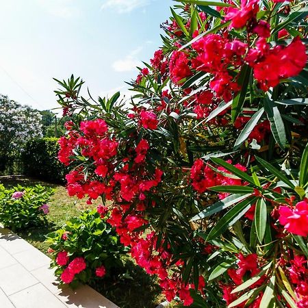 Villa Luka มาลินสกา ภายนอก รูปภาพ