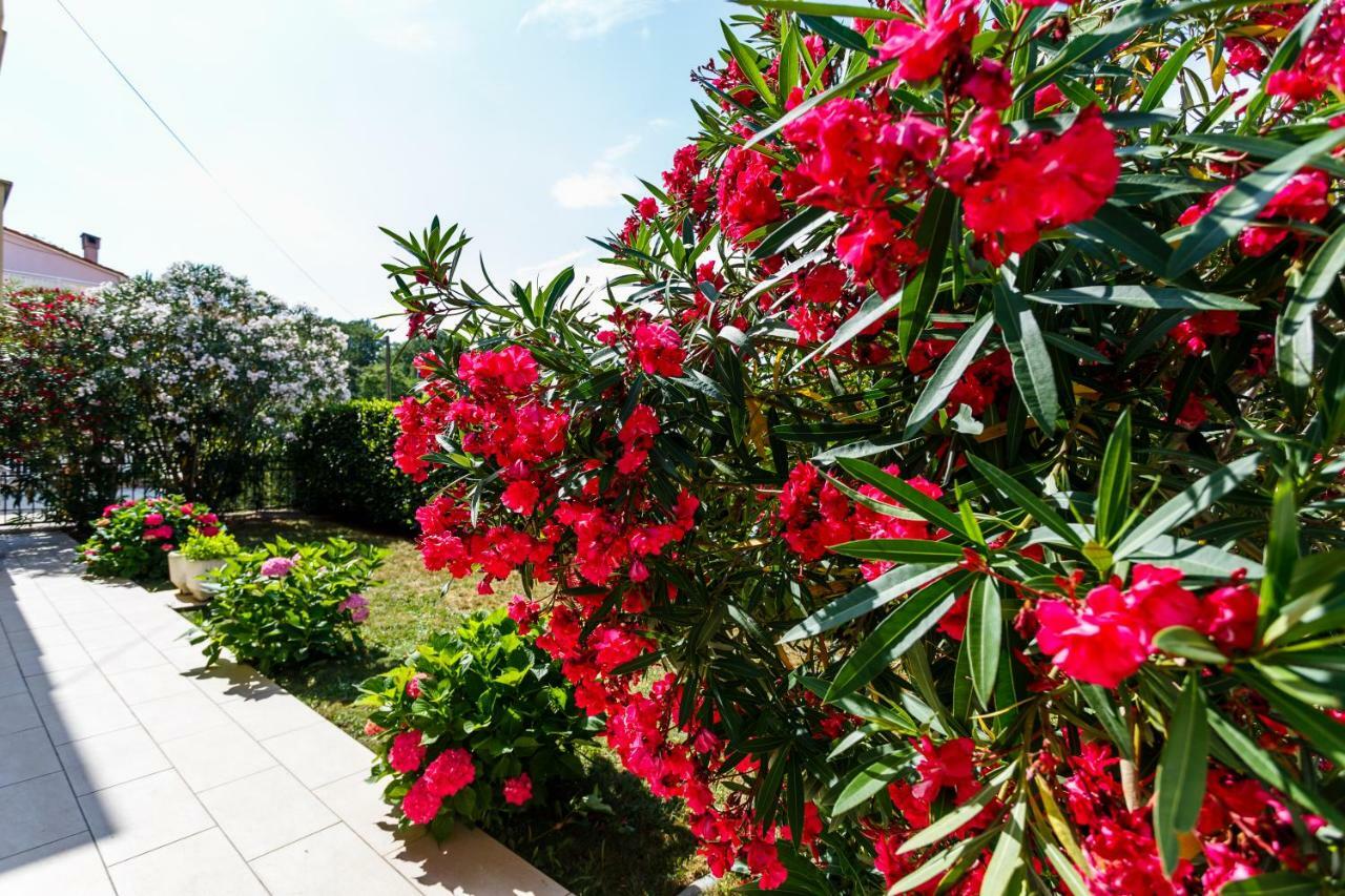 Villa Luka มาลินสกา ภายนอก รูปภาพ